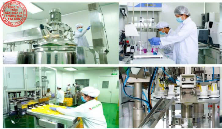 đội ngũ nhân viên falcon chuyên nghiệp